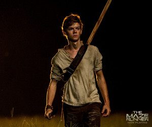 Thomas Brodie-Sangster is Newt in The Maze Runner .