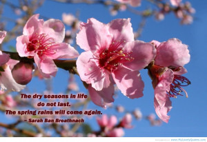 The Dry Seasons In Life Do Not Last, The Spring Rain Will Come Again ...