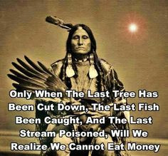 native american quotes, nativ american, american indians, eat money ...