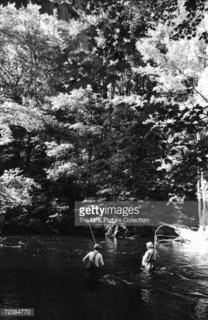 fisherman who likes to observe and tell yarns, and so I told ...