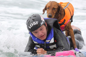 view original image )