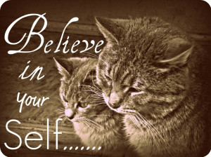 Cat Quotes (7)