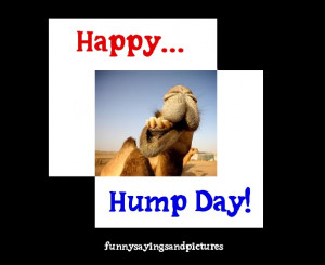 funny-wednesday-hump-day-quotes - 001_funny-wednesday-hump-day-quotes ...