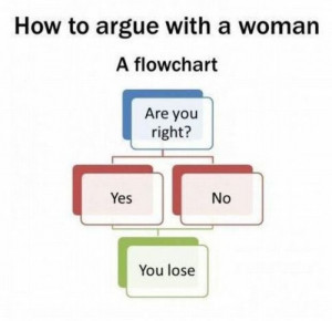 Some examples of how men see a woman’s logic. No doubt women have ...