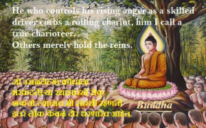 Buddha Quotes Online