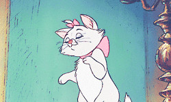 gif cat fluffy disney white animated Marie aristocats