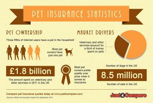 Check out the infographic below for more interesting pet facts.