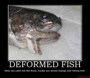 deformed-fish-deformed-fish-kill-ugly-winter-two-mouths-demotivational ...