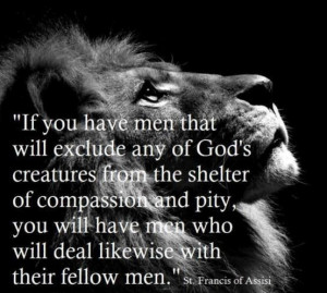 Animals are God's creatures ~ St. Francis of Assisi