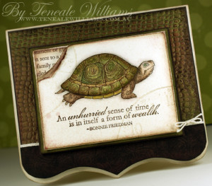 Funny Turtle Pictures with Quotes