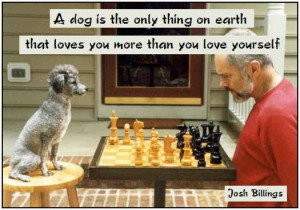dog is the only thing on earth that loves you more than you love ...