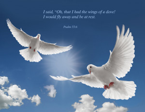 ... Had The Wings Of A Dove I Would Fly Away And Be At Rest - Bible Quote