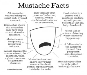 mustache-facts-640x556.png