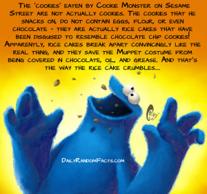 Seasame Street Facts- Cookie Monsters cookies copy