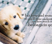 , dog, puppy, typo, saying, quote, quotes, sad, missing, missing you ...
