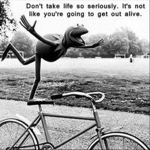 kermit frog truth quote life havefun livealittle