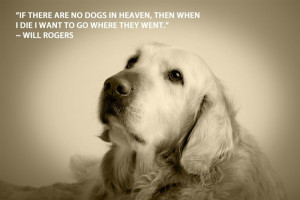 ... animals. In that hope, perhaps we will all find heaven together