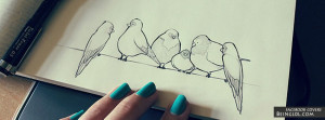 Bird Doodle Profile Facebook Covers