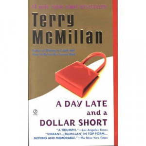 Author, Terry McMillam