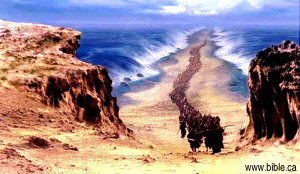 The Exodus Route: Goshen to the Red Sea