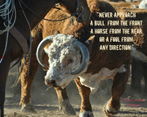 Found on Uploaded by user