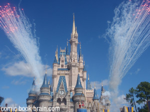 Fireworks at the Disney World Castle Photos