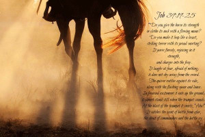 One of my favorite horse Bible verses!!