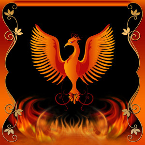 Welcome to Phoenix Rising Card/Board Tournaments