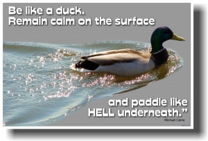 Be Like a Duck. Remain calm on the surface and Paddle Like Hell ...