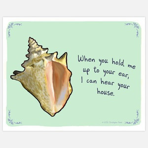 Seashell sense.: Funny Prints, Christopher Rozzi, Funny Things, Quote ...
