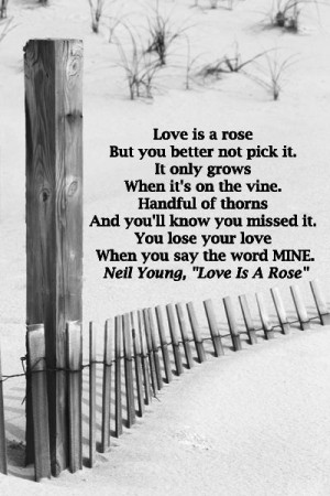 ... JERSEY SHORE image by Dr. J.T. McGinn -- Enjoy quotes from creative