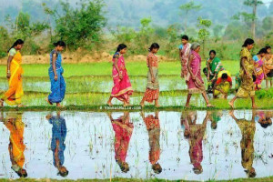 After a good rain, Yellow Leaf Road, North Carolina