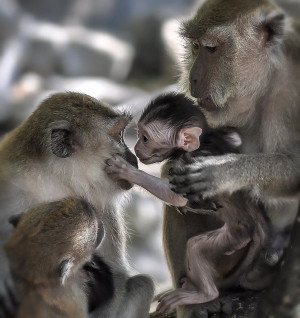 by David Mellor, via 500px...Unconditional Love, Eye Contact, Families ...