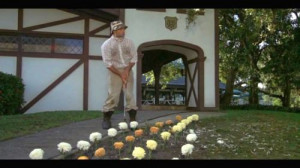 So I got that going for me…which is nice.