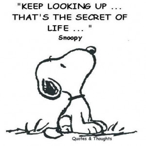 Snoopy quote :P