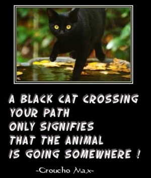 Ha Poor Black cats and their bad rap..