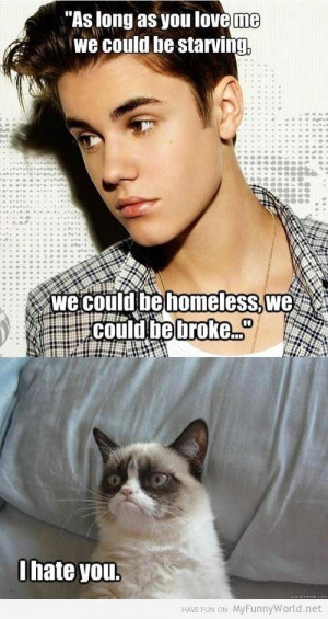 Grumpy cat vs Everyone (32 pictures) | My funny world