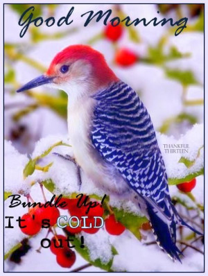 Facebook Twitter Pinterest Google+