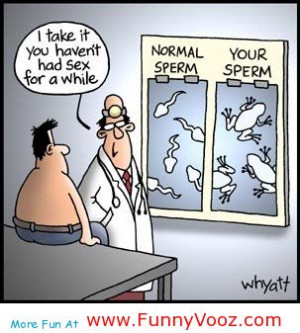 ... www.tumblr18.com/t18/2013/07/abstinence-funny-picture.jpg[/img][/url