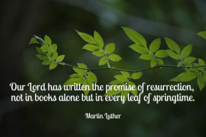 Our lord has written the promise of resurrection, not in books alone ...