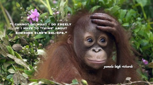 Monkey thought provoking Pamela quote