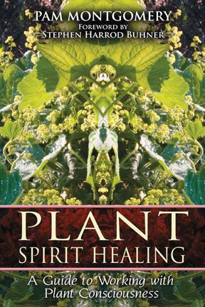 Plant Spirit Healing- A Guide to Working with Plant Consciousness, by ...