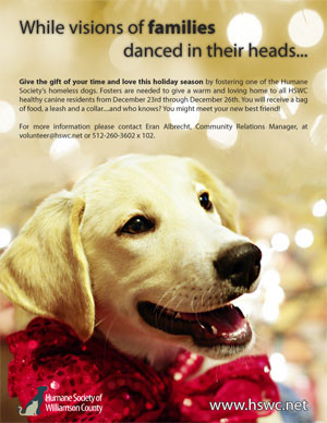 Fostering to Adopt This Holiday