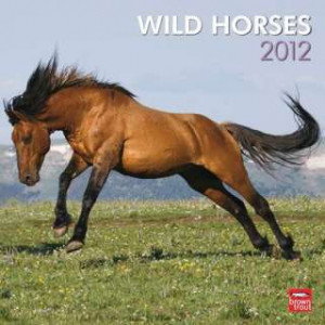 Wild Horses 2012 Wall Calendar