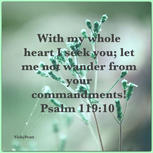... seek you: let me not wander from your commandments. Psalm 119:10