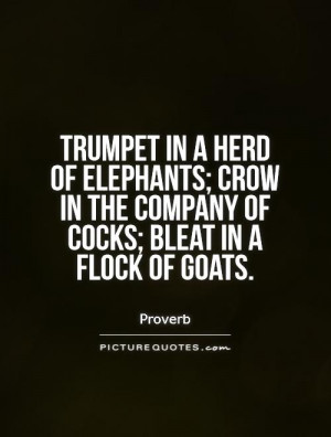 Trumpet in a herd of elephants; crow in the company of cocks; bleat in ...