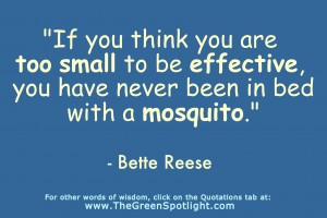... small to be effective, you have never been in bed with a mosquito