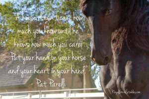 Artikel Terkait Inspirational Horse Quotes :