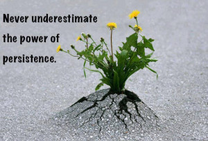 Never underestimate the power of persistence.