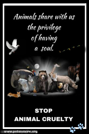 ... pet, animal, inspiring quotes for animal lovers, petsnmore.org, soul